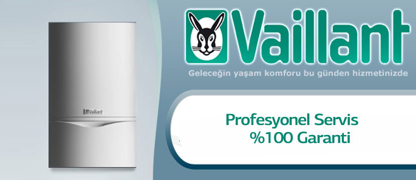 Ankara Vaillant Hidrofor Servisi 